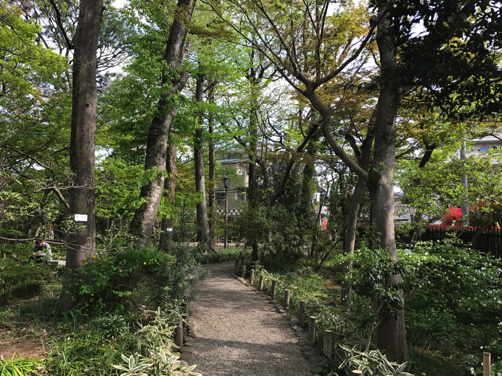 庭園内には約300種類の草木類が植栽されている