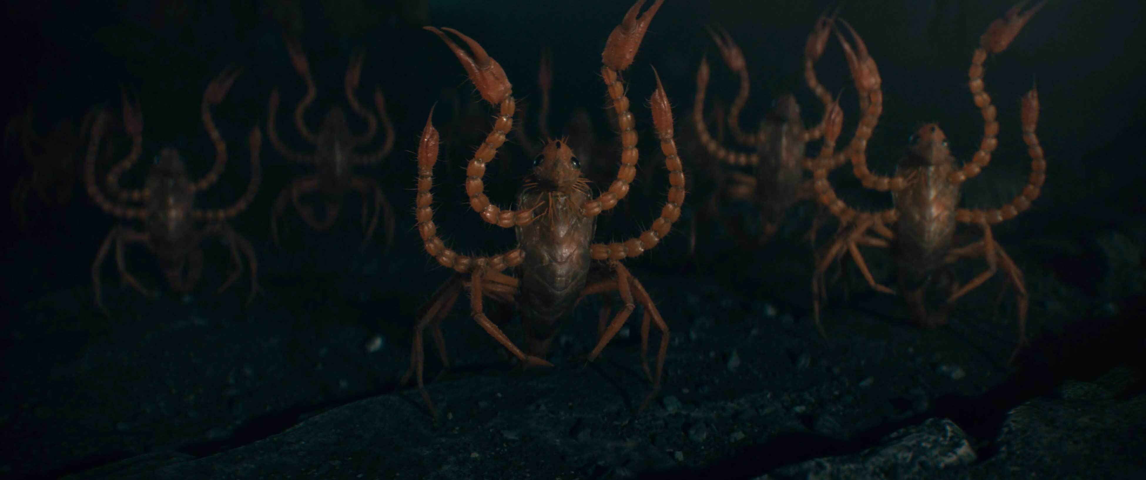 マンティコア（C）2021 Warner Bros. Ent. All Rights Reserved Wizarding World TM Publishing Rights （C）J.K. Rowling WIZARDING WORLD and  all related characters and elements are trademarks of and（C）Warner Bros. Entertainment Inc.  