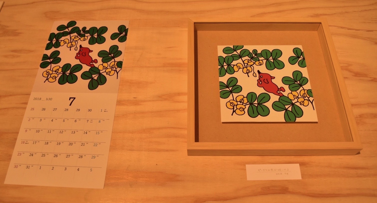 ピーナッツの花が咲いたよ（2018年7月）