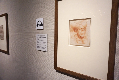 奇想の宮廷画家『アルチンボルド展』をレポート 絵画に描きこまれ