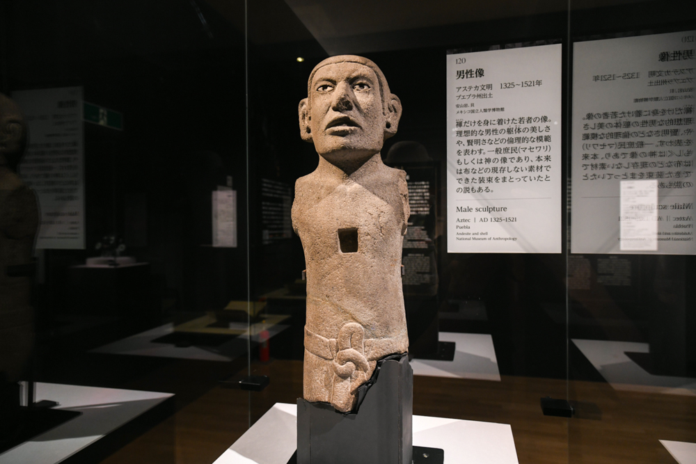 《男性像》 アステカ文明　1325〜1521年　メキシコ国立人類学博物館