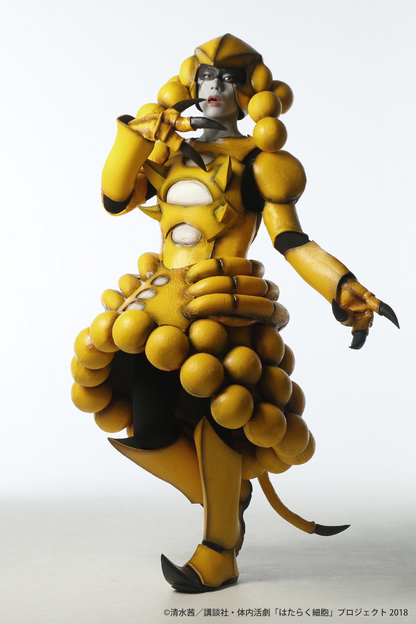 黄色ブドウ球菌：富田 翔