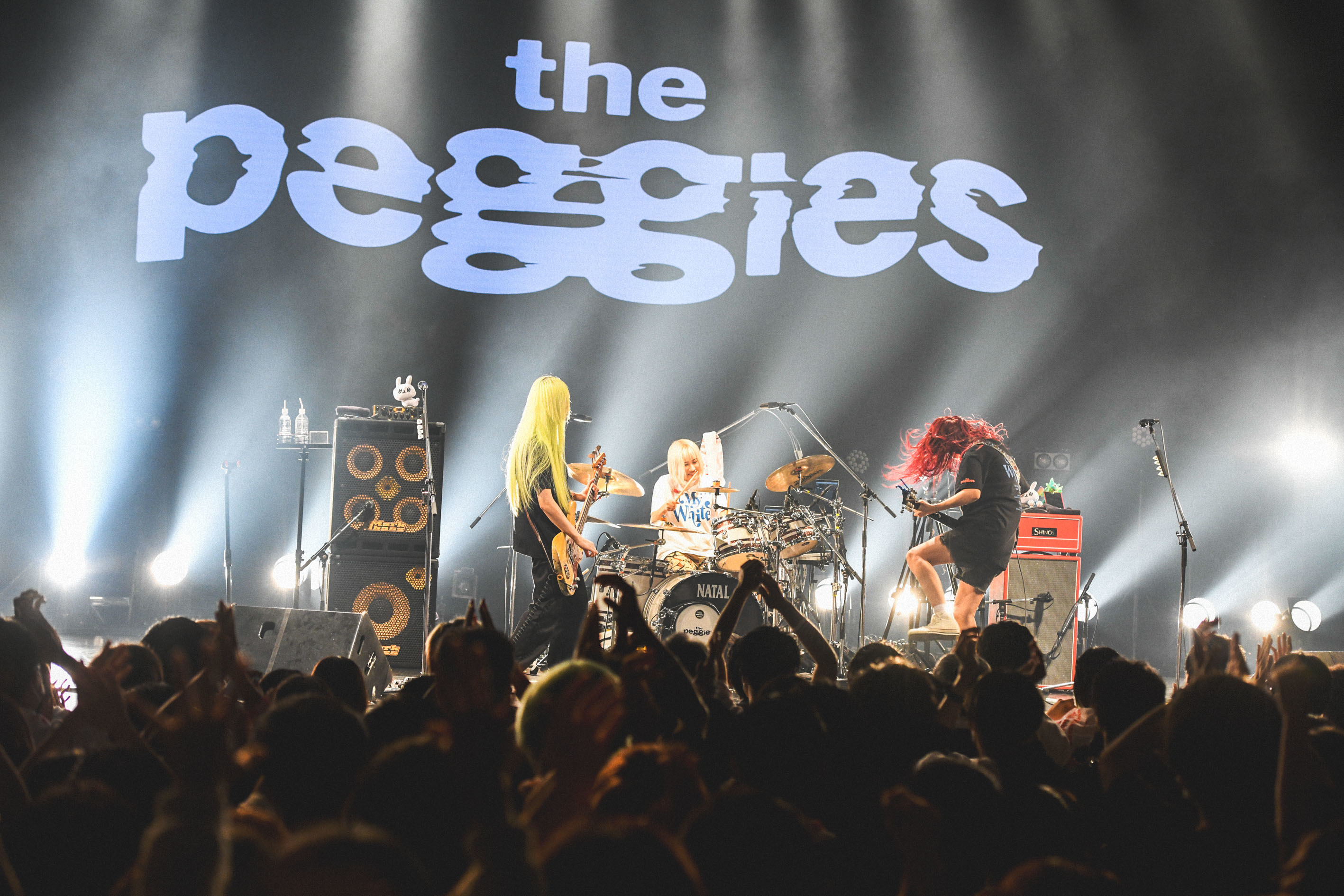 the peggies「寂しい気持ちはゼロじゃないけど、また必ず会いましょう 