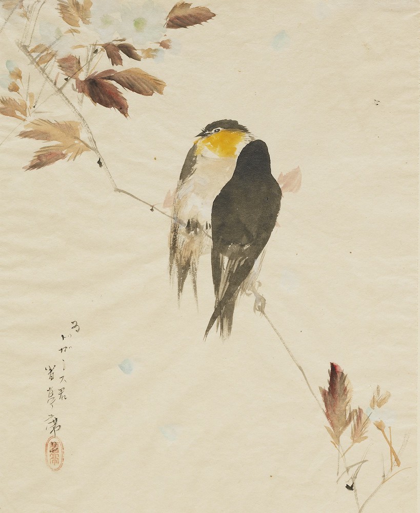 《鳥図（枝にとまる鳥）》1878（明治11）年／紙本淡彩／一面／クラーク美術館 Clark Art Institute. clarkart. edu