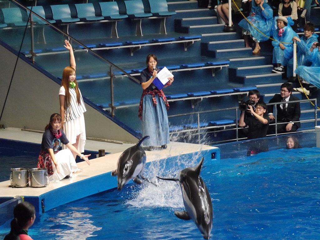 メンバーきってのイルカ好きMAYUがサインだしに挑戦