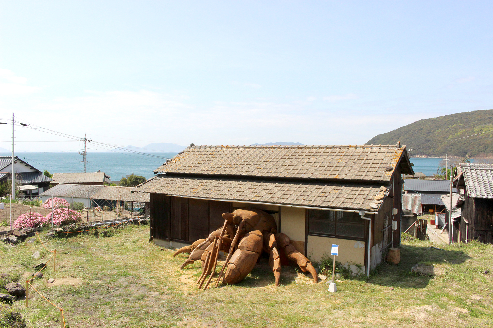 sd45：尾身大輔「ヒトクサヤドカリ」