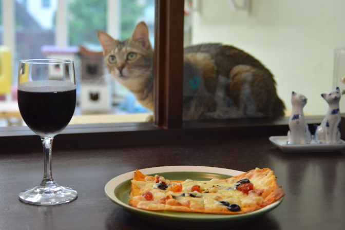 ワインやピザを楽しみながら、猫を観察することもできます