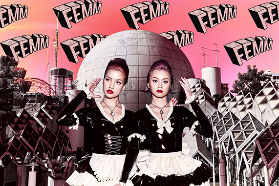 FEMM