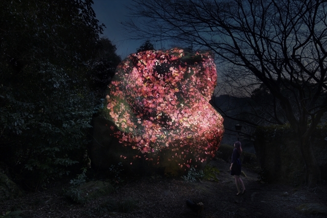 増殖する生命の巨石 / Ever Blossoming Life Rock teamLab, 2017, Digitized Nature
