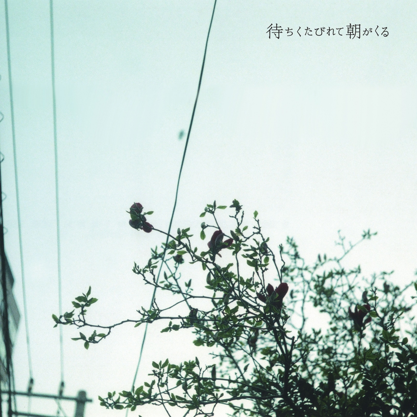「待ちくたびれて朝がくる」