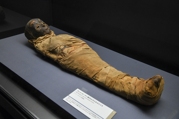 《グレコ・ローマン時代の子どものミイラ》 エジプト 出土地不詳 グレコ・ローマン時代、紀元前38頃-後59年頃 レーマー・ペリツェウス博物館