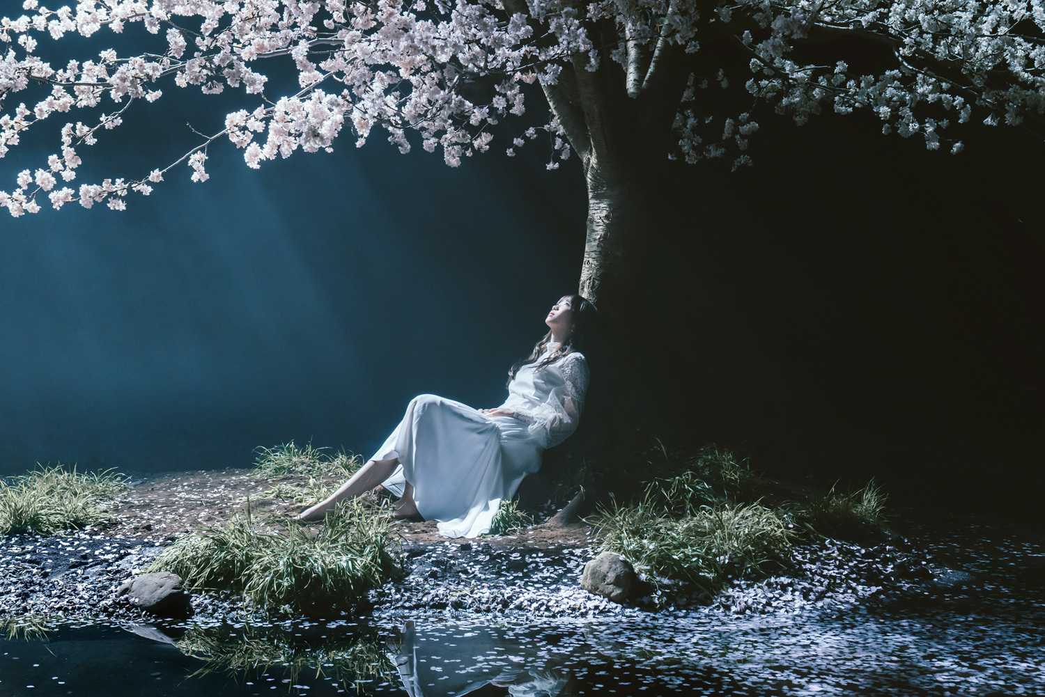 Aimer 劇場版 Fate Stay Night Heaven S Feel Spring Song公開日決定を記念して3部作全主題歌を収録した限定盤cdをリリース Spice エンタメ特化型情報メディア スパイス