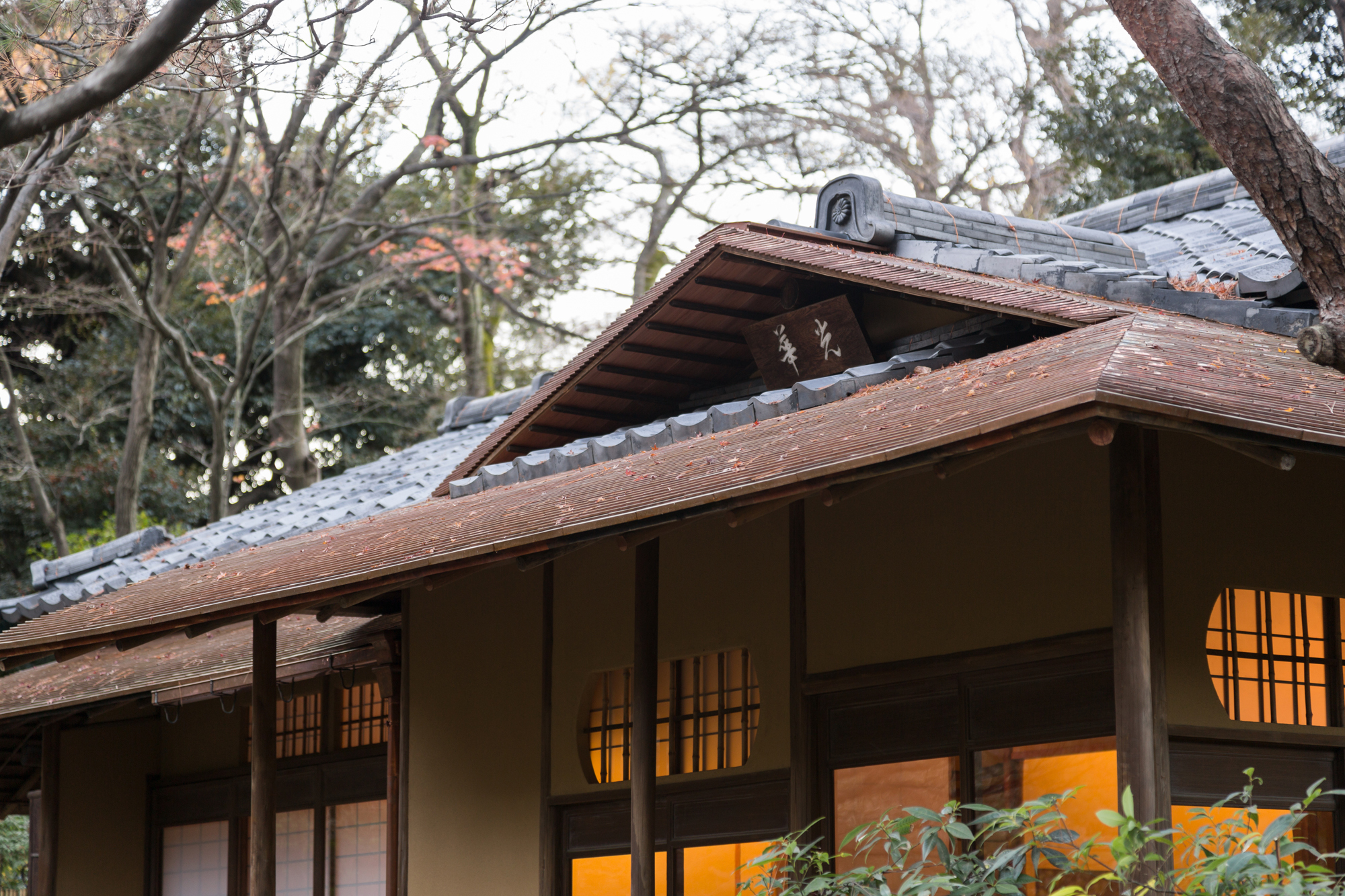 東京都庭園美術館 茶室 光華