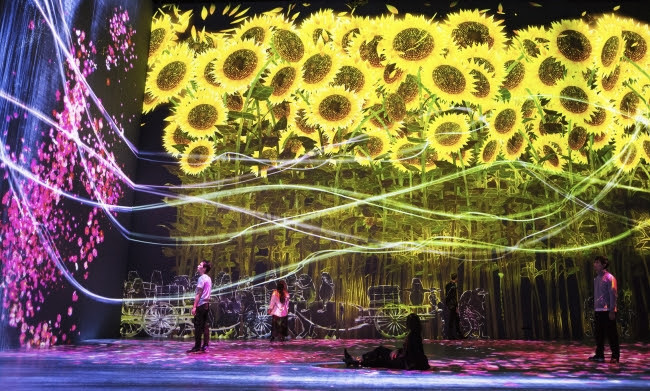 花の精霊 / Spirits of the Flowers teamLab, 2018, Digital Installation