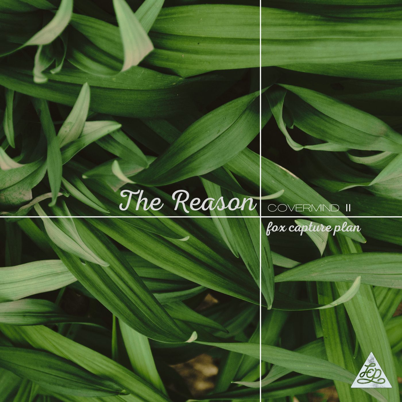 「The Reason」ジャケット写真