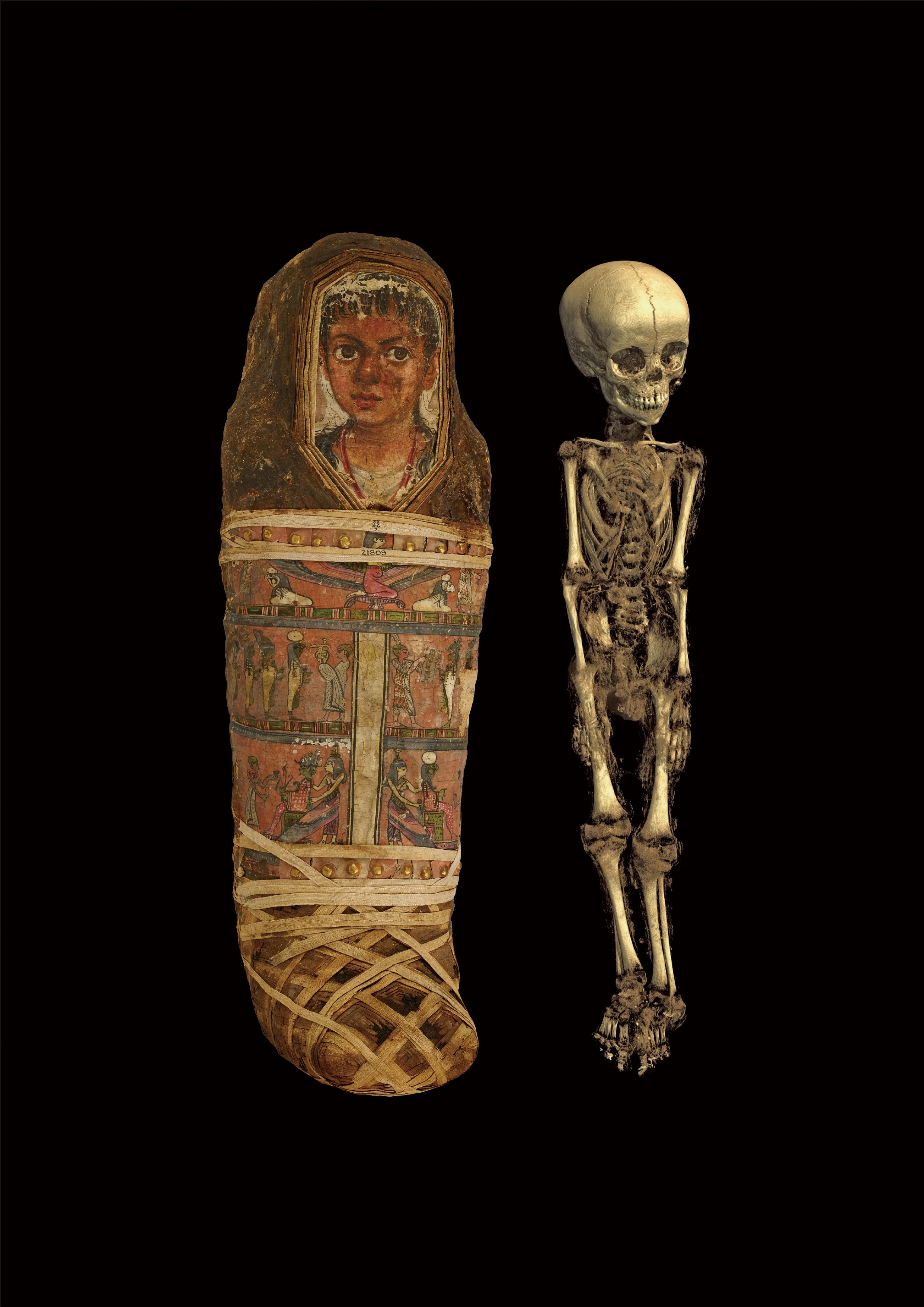 子どものミイラと、CTスキャン画像から作成した3次元構築画像 ローマ支配時代、後40～後55年頃 大英博物館  (c) The Trustees of the British Museum