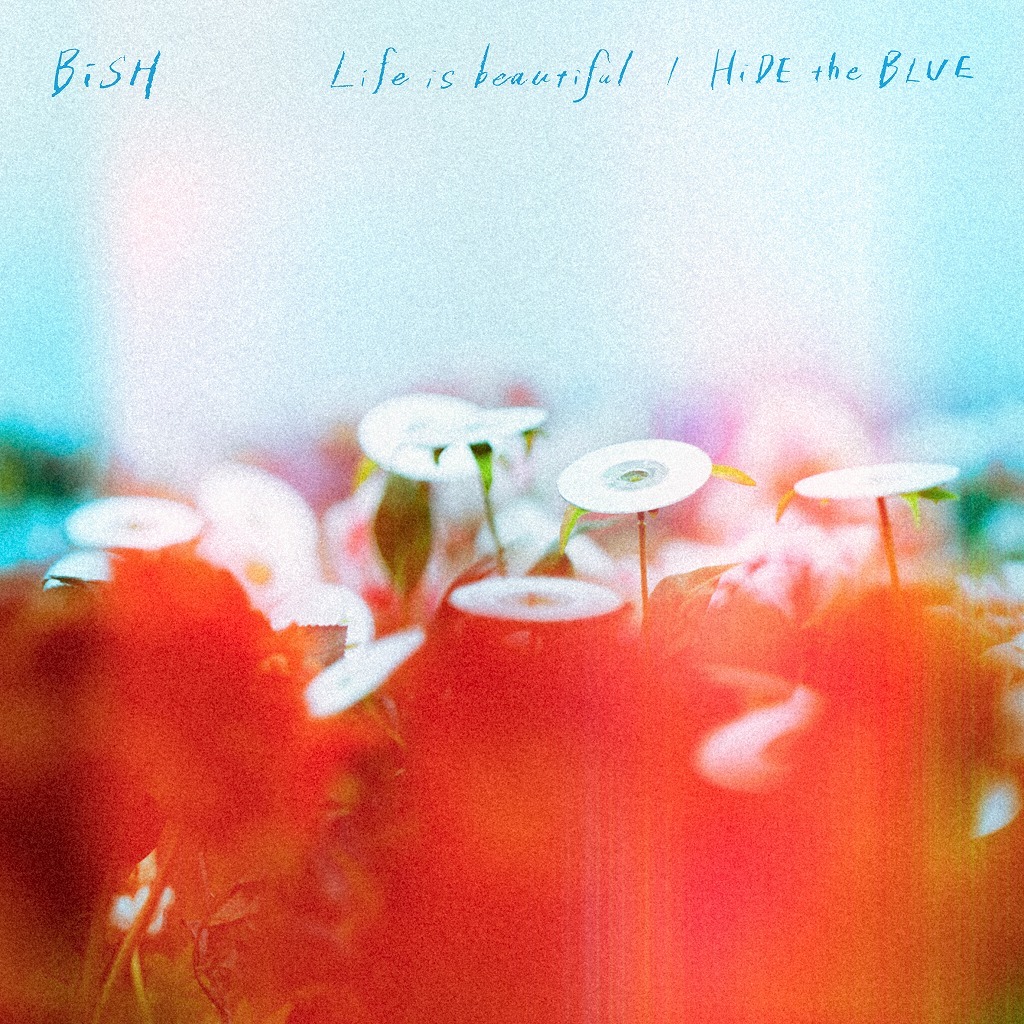 CD+DVD
