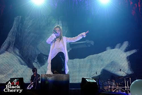 Acid Black Cherry