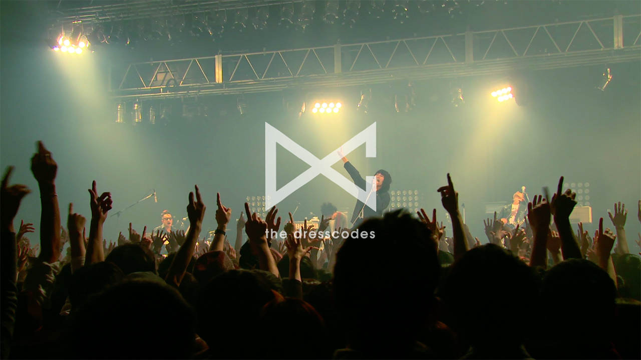 ドレスコーズ DVD/BD『SWEET HAPPENING 〜the dresscodes 2015 “Don’t Trust Ryohei Shima”JAPAN TOUR〜』より