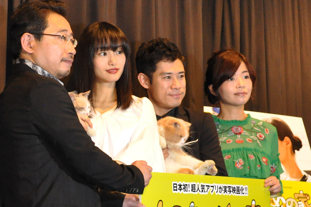 映画『ねこあつめの家』 (C)2017 Hit-Point／『映画ねこあつめ』製作委員会