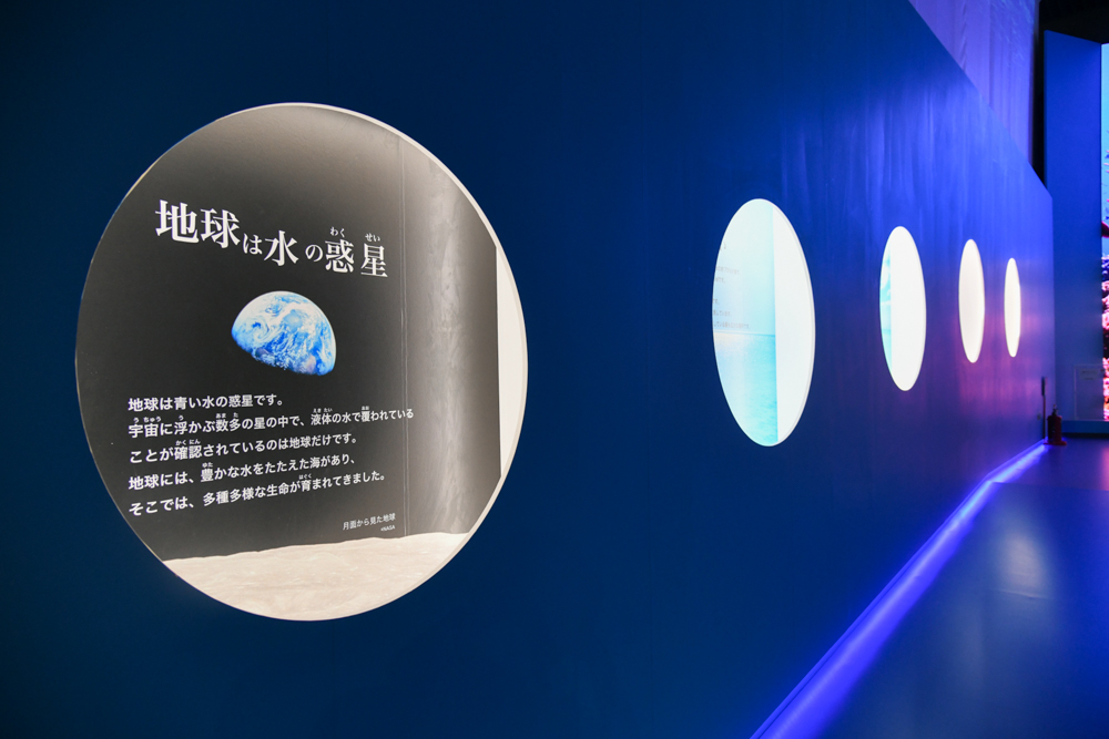 第2章「海と生き物のつながり」の展示風景