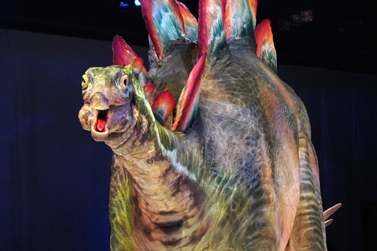 ステゴサウルス。背中の突起とキュートな小顔が特徴。