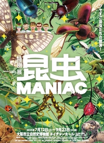 研究者によるマニアックな展示が好評、来場者数20万人突破した『昆虫 MANIAC』が大阪に巡回、講演会やオリジナルグッズ情報も