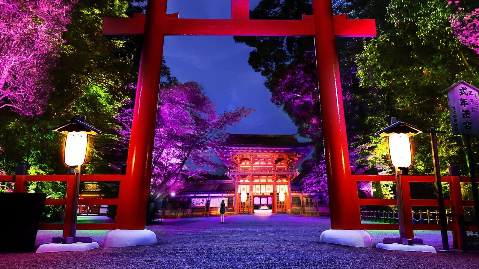 呼応する木々 – 下鴨神社 糺の森 / Resonating Trees – Forest of Tadasu at Shimogamo Shrine