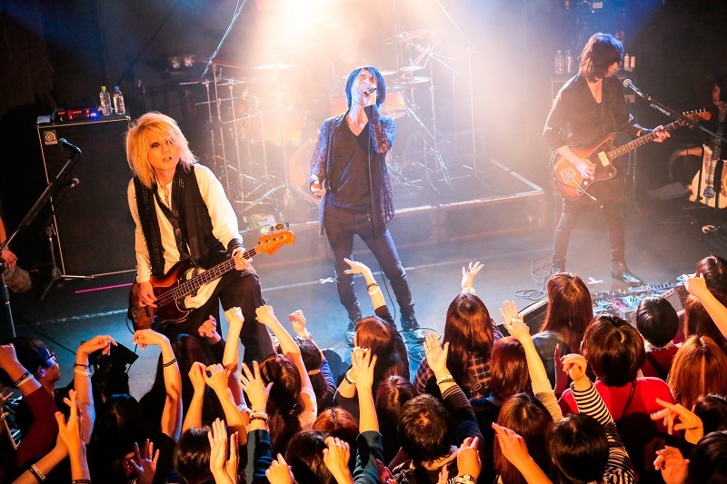 Eins:Vier /TOUR to the FLAT DVD アインスフィア - ミュージック