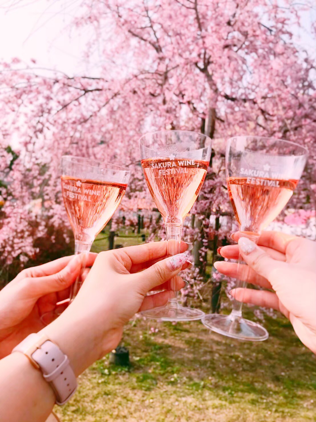 『SAKURA WINE FESTIVAL』