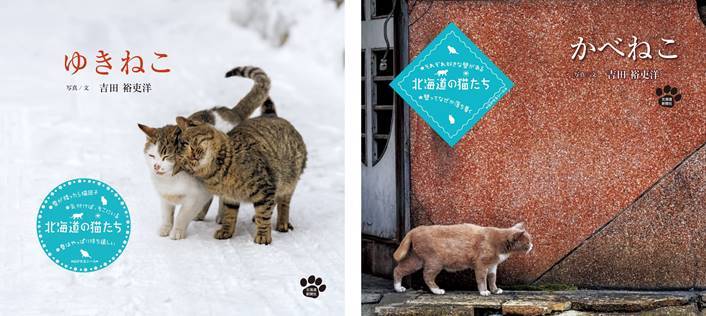 北海道の厳しい環境でしなやかに生きる猫をとらえた写真集 ゆきねこ かべねこ 発売記念写真展が開催 Spice エンタメ特化型情報メディア スパイス