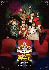 豆柴の大群特別公演『豆柴の大群の疾走』キービジュアルを解禁