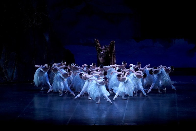 K-BALLET TOKYO Spring Tour 2025 『白鳥の湖』 　　　　　　　　(C)K-BALLET TOKYO
