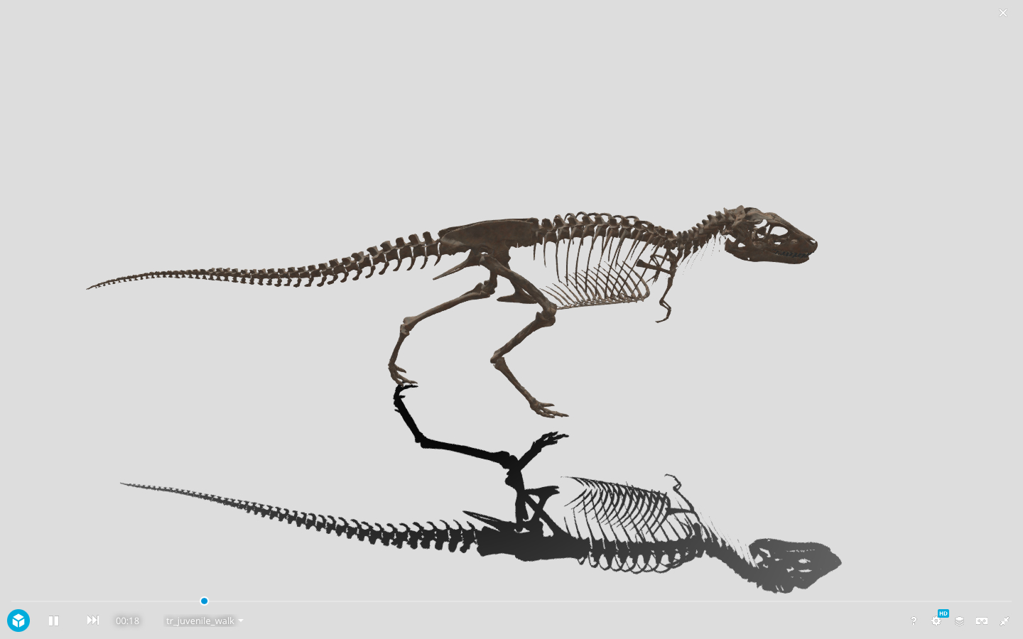 ティラノサウルス幼体の歩行アニメーションはクセになる可愛さ
