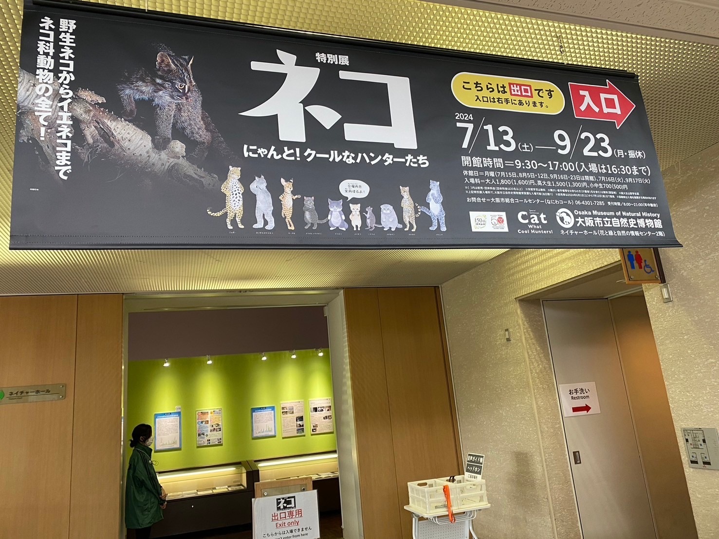『特別展「ネコ」～にゃんと！クールなハンターたち～』