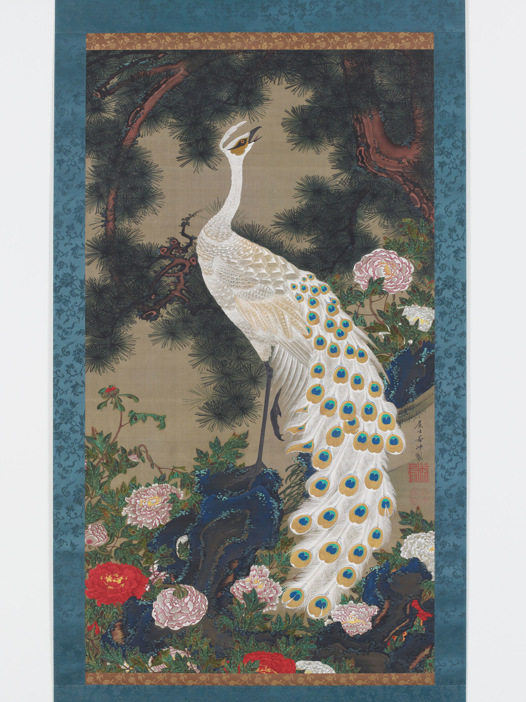 伊藤若冲〈老松孔雀図〉（動植綵絵30幅のうち） 宮内庁三の丸尚蔵館蔵