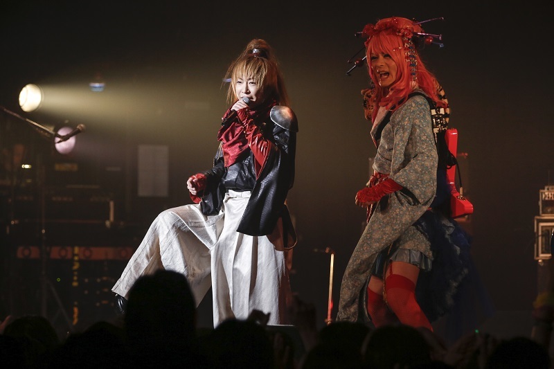 Psycho le Cému 撮影＝Akihiko Yokoi