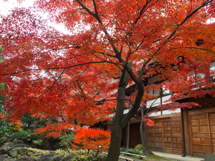 禅東院