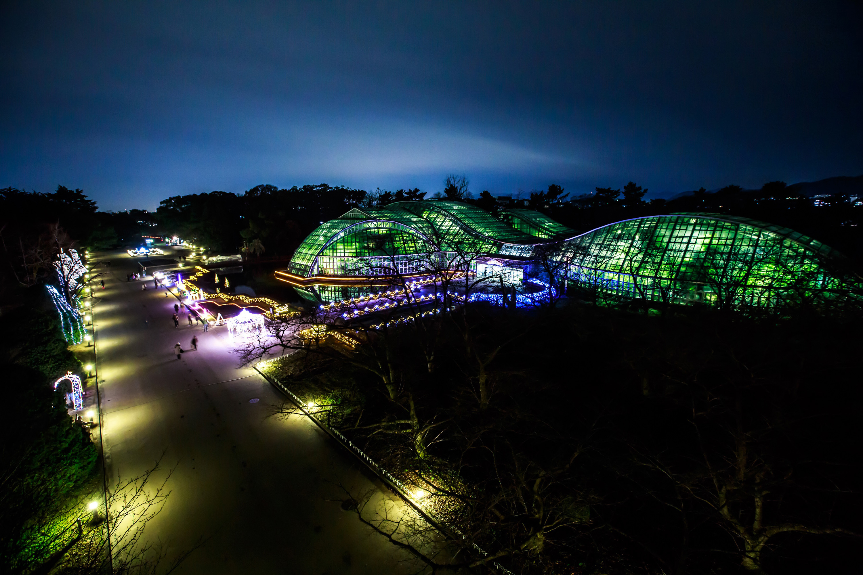 クリスマスシーズンの京都 穴場デートにおすすめ 京都府立植物園 イルミネーション18 Spice エンタメ特化型情報メディア スパイス