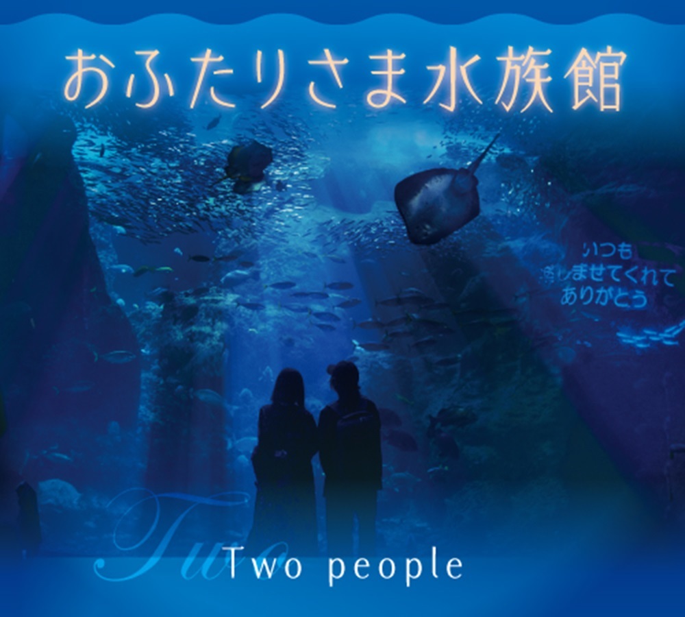 新江ノ島水族館をゆっくり満喫できる おひとりさま おふたりさま 限定夜のイベントを開催 Spice 新江ノ島水族館 をゆっくり満喫できる Ldqu ｄメニューニュース Nttドコモ