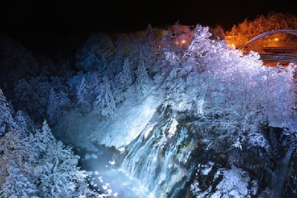 冬だけの幻想夜景！美瑛「白ひげの滝」ライトアップ