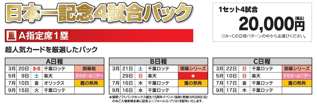 日本一記念4試合パックの詳細