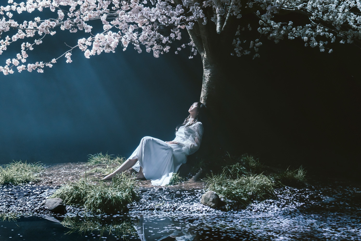 Aimer 新曲 春はゆく ミュージックビデオ アートワーク公開 劇場版 Fate Stay Night Heaven S Feel Spring Song主題歌 Spice エンタメ特化型情報メディア スパイス