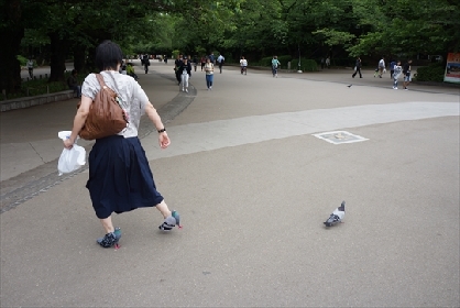 ザリガニワークスらによるバカ作品発表イベント『おバカ創作研究所 研究発表in京都』展が開催に