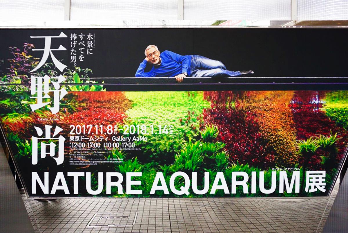 写真と水槽で体感する、大自然の美しさ 『天野尚 NATURE AQUARIUM展 