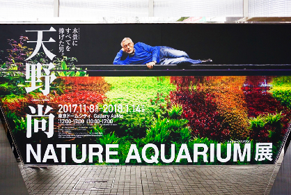 写真と水槽で体感する、大自然の美しさ　『天野尚 NATURE AQUARIUM展』レポート