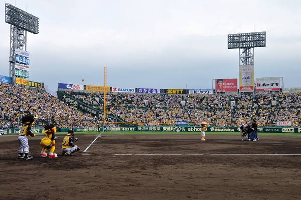 甲子園の観客、トラッキーやラッキーたちが見守る中、みたに君の豪腕（？）がうなる！ ［撮影：吉永美和子］