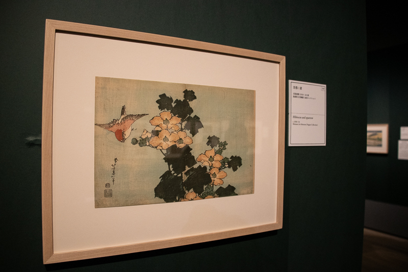 《芙蓉に雀》天保初期（1830～34）頃 島根県立美術館（永田コレクション）