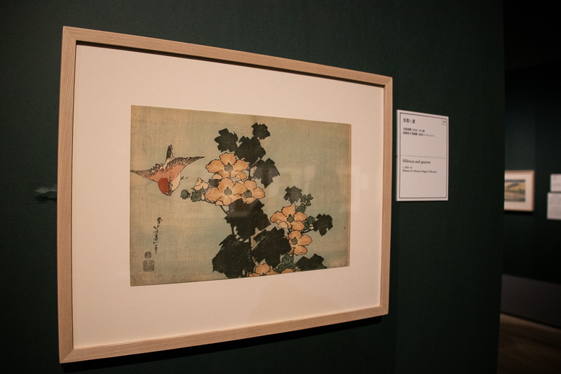 《芙蓉に雀》天保初期（1830～34）頃 島根県立美術館（永田コレクション） 1月28日（月）まで展示