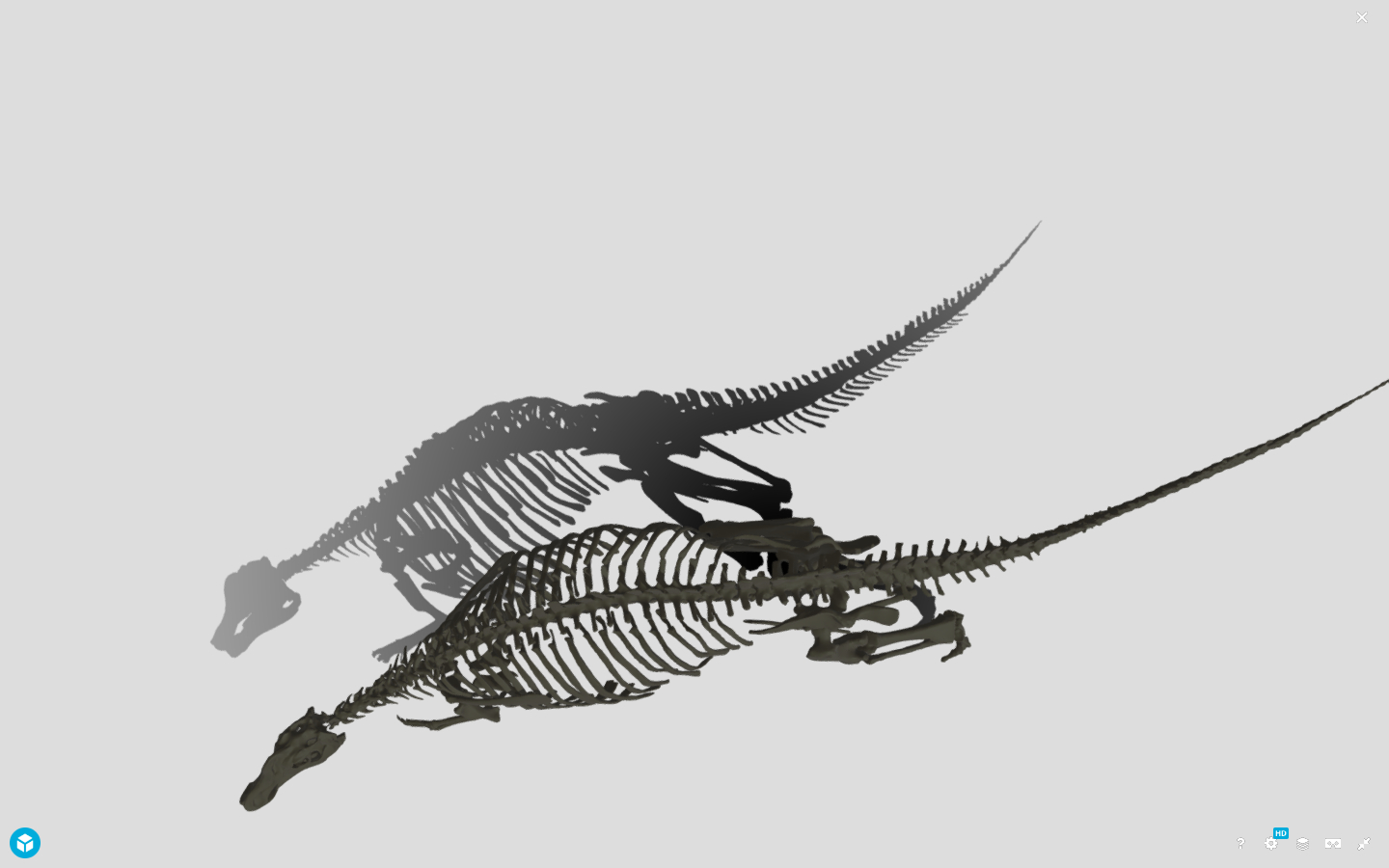 ニッポノサウルスはデジタルデータの影も美しい （ホームページより引用：北海道大学総合博物館）